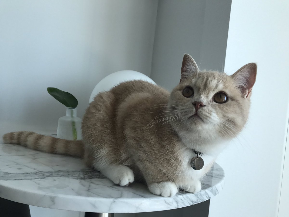 그래 만두는 계속 해맑아 청소는 내가 할께.