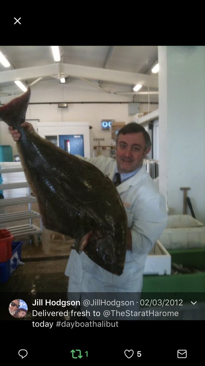 Mother’s Day 💕11th March, here <a href="/HodgsonFish/">Hodgson Fish</a> we have the finest fish ready for chefs to make it even more special, from amazing Wild Halibut to stunning Wild Turbot, plus so much more, to place your order today please ring the sales team on 01429163573 🎉💫