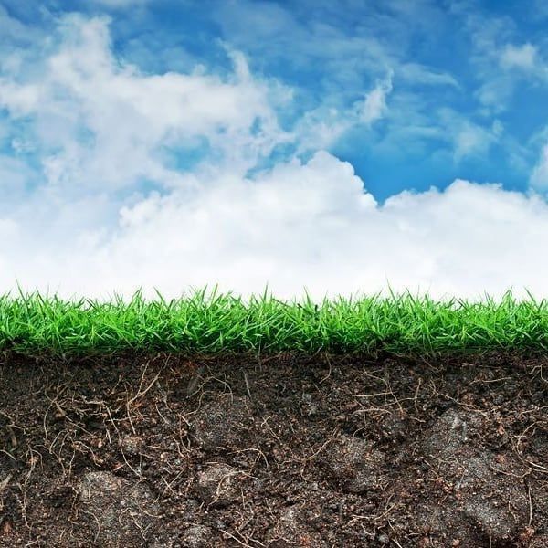 FAOKnowledge's tweet photo. Did you know it can take up to 1,000 years to form 1 centimeter of top soil?
Preserving it is essential for food security and our sustainable future. #ZeroHunger #soils https://t.co/o8klLAUztZ