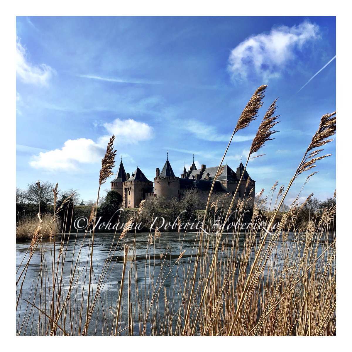 Goedemorgen Muiderslot
(sprookjes bestaan, heb in mijn arm geknepen)
Foto: ©️Johanna Doberitz #doberitzjo <a href="/Muiderslot/">Muiderslot</a> <a href="/GooiseMeren/">Gooise Meren</a>