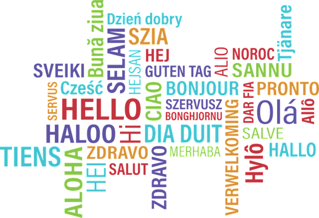 DesarrolloSomon's tweet photo. ¿Quieres certificar tu nivel de inglés, francés o alemán 🇬🇧🇲🇫🇩🇪? Ésta es tu oportunidad, hoy se han convocado pruebas para obtener los niveles básico, intermedio y avanzado de idiomas. 
➡Más información: https://t.co/SAIVsjqKsn https://t.co/BlJqaUipnF
