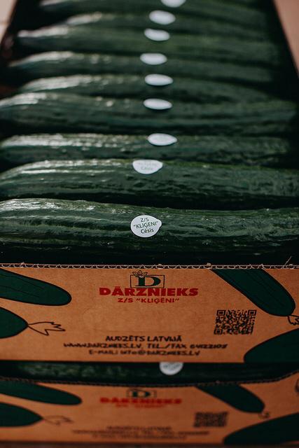 Mūsu jaunā sezona ir sākusies!