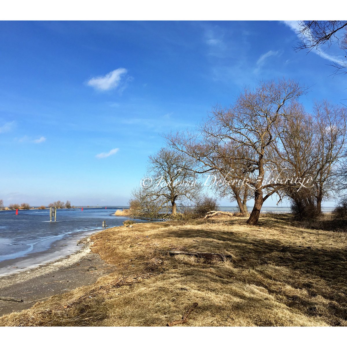 Goedemorgen IJmeer 
(sprookjes bestaan, heb in mijn arm geknepen)
Foto: ©️Johanna Doberitz #doberitzjo <a href="/GooiseMeren/">Gooise Meren</a>
