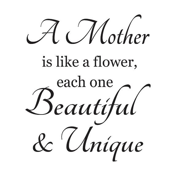 daizeysden's tweet photo. As Mum is beautiful and unique why not spoil her with a beautiful bespoke bouquet from Daizeys Den.  We also have lots of planted arrangements and gift ideas, pop in and take a look #bespokeflowers #mumisbeautiful #sayitwithflowers #thankyoumum #ordertoday https://t.co/gAU4BBdmEZ