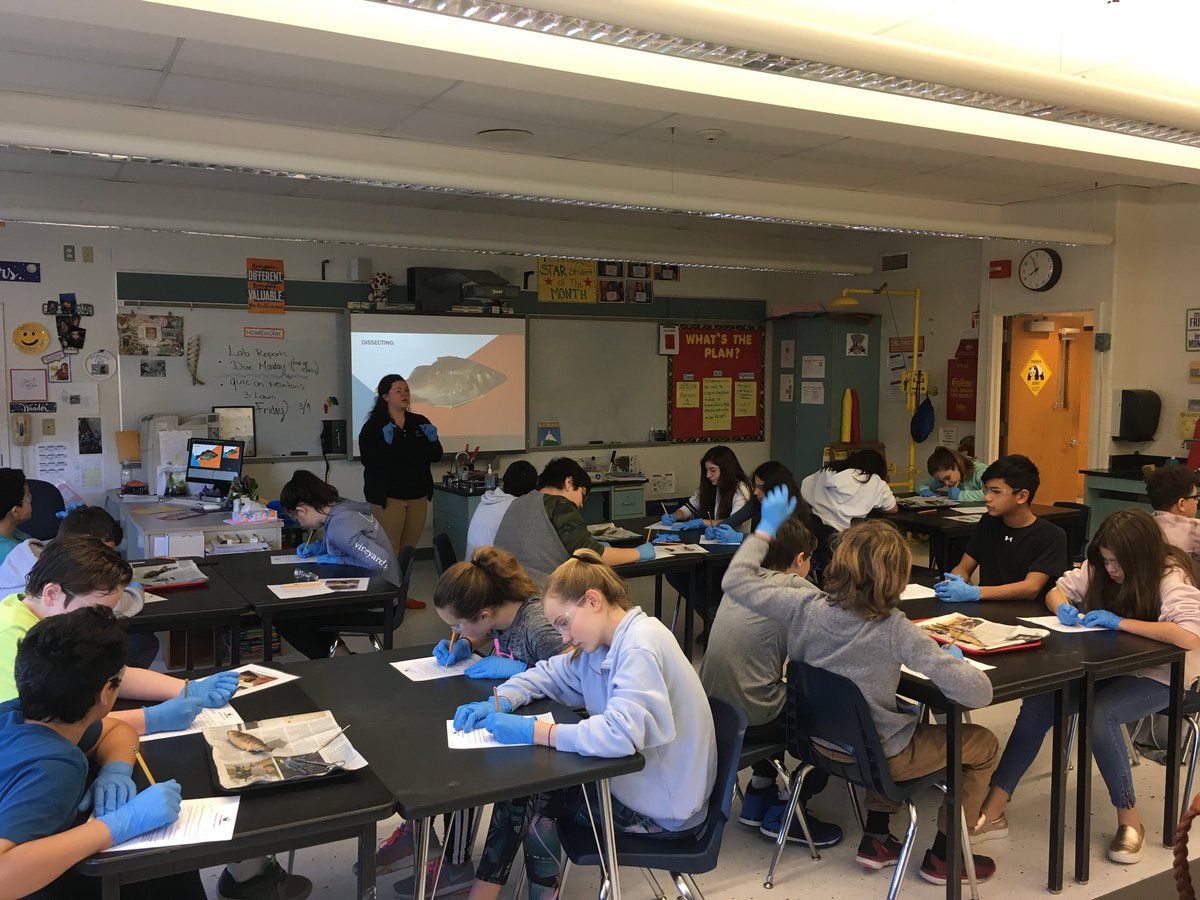 cmsadmins's tweet image. 7th graders ARE scientists today. Dissecting perch thanks to our friends from the @MaritimeAqua and our amazing CMS PTA! #learningisdoing #communitypartnerships @GreenwichpsCIPL @DrJillGildeaGPS @GreenwichPSSTEM @KBruzinski