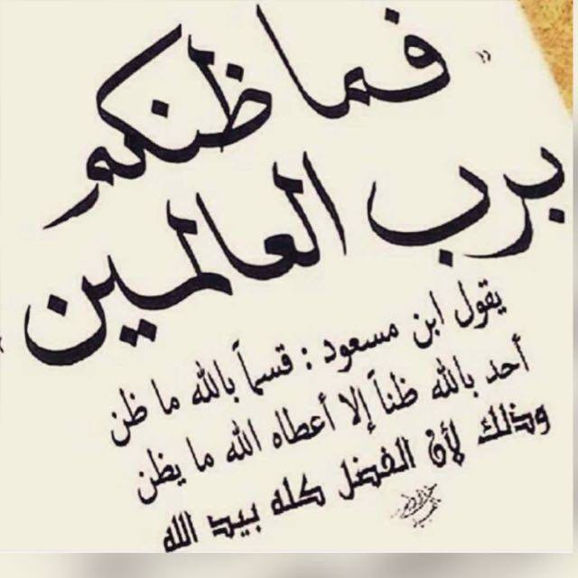 bader_salman205's tweet photo. https://t.co/VGWQDduGTE