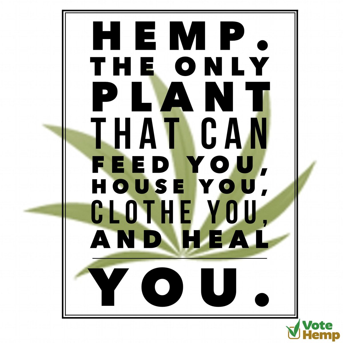 Vote Hemp tweet media