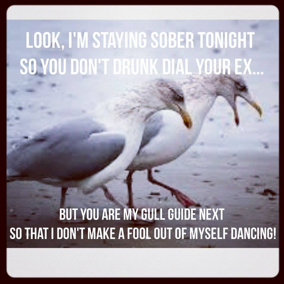 Tips and ideas for good friends and Gull Guides, both on campus and on Spring Break - TONIGHT at 7pm in LSB 128. #iseeispeakipledge #gullsdosomething
