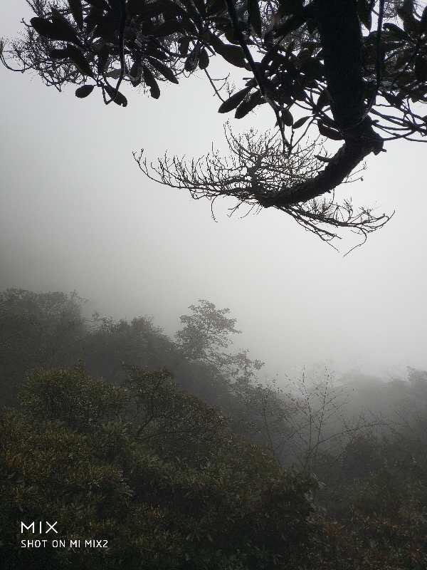 zhen598's tweet photo. Sanqin mountain China https://t.co/edY9lzcRFW