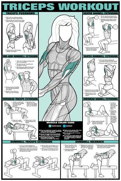 WPIRecCenter's tweet photo. Start transforming your body with these tricep workouts! #TransformationTuesday #TricepsTuesday @WPI https://t.co/06J8pgqUJo