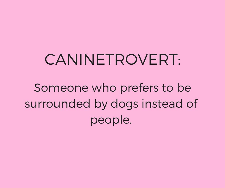 GlitterBugsGift's tweet image. Okay hands up nice and high where I can see them! 😀
Feel free to Share! #Caninetrovert #dog #Love0n4Legs #dogsarefamily #DogsRule