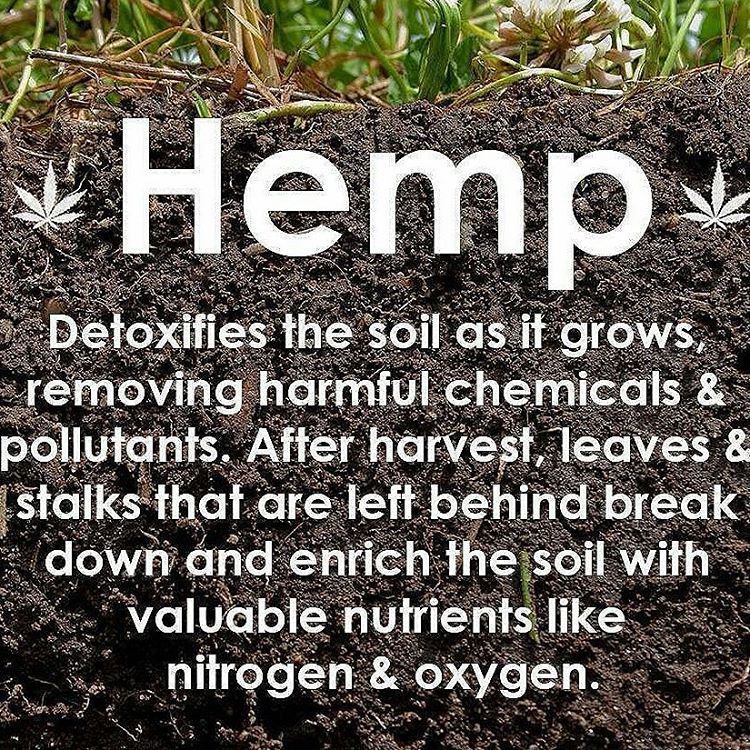 Hemp_Lords's tweet photo. hemplifeproducts:

Got hemp? 

#HempLife #H420 #Hemp #hempfest #hempwick #hempplastic #hemppaper #hempproducts #hempro #hempfuel #hempcompany #healthy #health #healthychoices #active #strong #motivation #revolution #change #changetheworld #georgewashingt… https://t.co/2WEHG7pagU https://t.co/WlWiC6KxcA