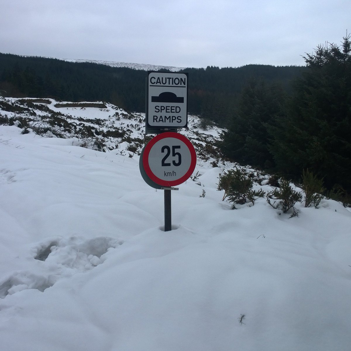 donalclimber's tweet photo. I don't think they'll cause much problems https://t.co/zaZ2wyDTbR
