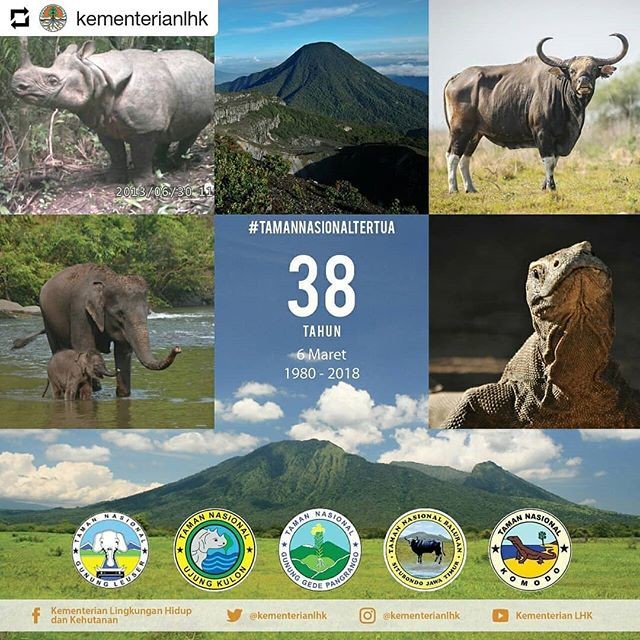 Selamat Ulang Tahun ke 38 untuk :
@gunungleusernationalpark @tnujungkulon 
@tn_gedepangrango @tamannasional_baluran @komodo_natpark

Sal...