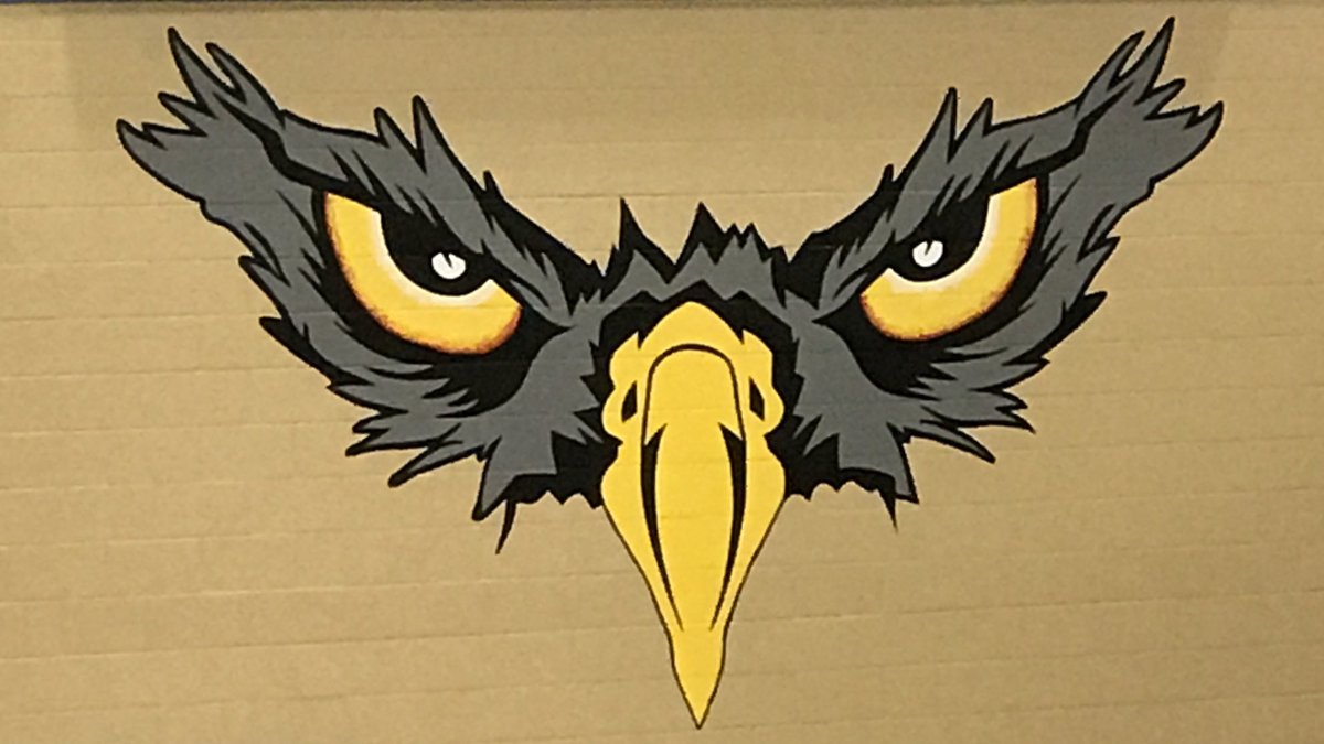 northforneysb's tweet photo. It’s GAME DAY for the Lady Falcons!! #ladyfalconssoftball  #girlpower https://t.co/iL43wFJLp0