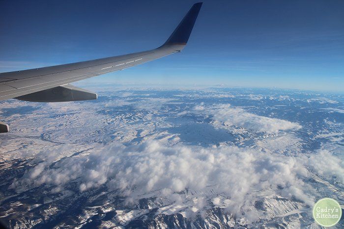 vitalrootden's tweet photo. Fun tips from @Cadryskitchen on being vegan + flying (with a little shoutout to our sis at #rootdowndia!)
>> https://t.co/4m5bCSkptn https://t.co/VM89MczKlS