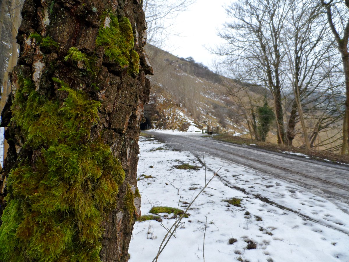 CrossDotMedia's tweet photo. I promise this is the last of the snowy shots between #Litton &amp; #Cressbrook tunnels (mainly because it's melted!) 😬

#monsaltrail #ICE #cressbrooktunnel #littonmill #cressbrook #peakdistrict #derbyshire #icicles #ukwalks #uktravel #photography #tunnel #tideswell #TuesdayThoughts https://t.co/AAuUsa8YBj