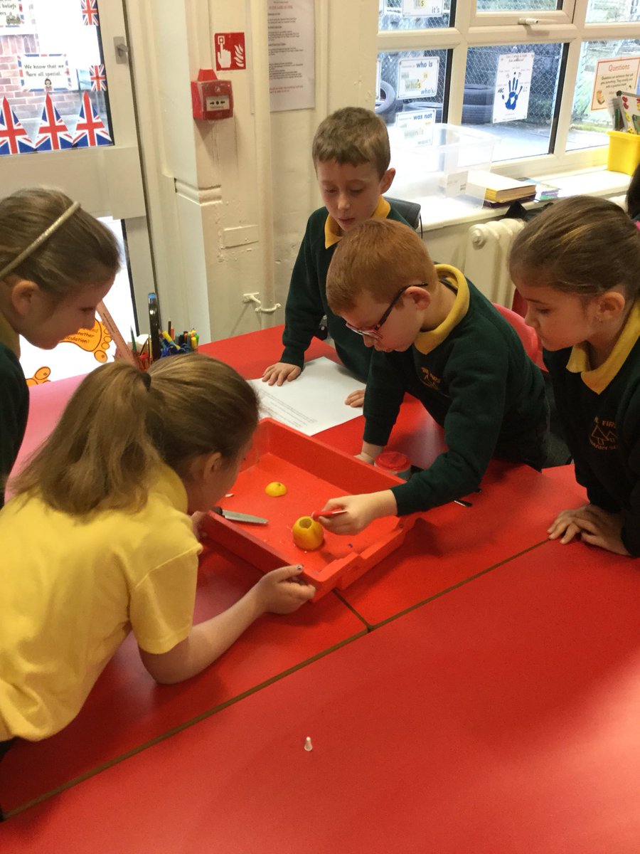 firsprimarysale's tweet photo. #Year2LT have enjoyed carrying out an experiment to create lemon volcanoes. What could we change to make a bigger reaction? #Science #chemistry #observations https://t.co/8tFovbtReo
