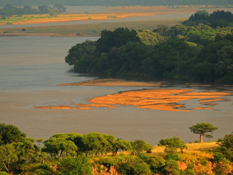 Tourism_gov_za's tweet photo. #MyLimpopo This South African province is a place of majestic landscapes, where  rugged mountains tumble into verdant valleys and the horizon is  accentuated by the iconic shapes of the baobab trees and other hardy vegetation. #ItsMySouthAfrica https://t.co/YIu2GIsOap