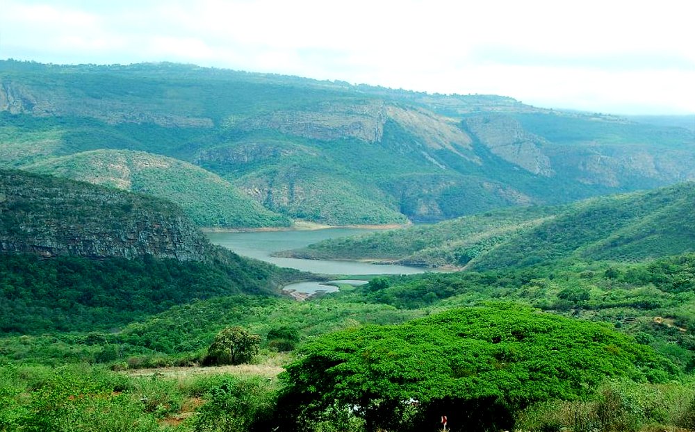 Tourism_gov_za's tweet photo. #MyLimpopo This South African province is a place of majestic landscapes, where  rugged mountains tumble into verdant valleys and the horizon is  accentuated by the iconic shapes of the baobab trees and other hardy vegetation. #ItsMySouthAfrica https://t.co/YIu2GIsOap