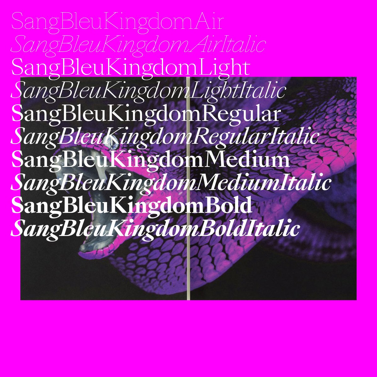 type foundries archive tweet media