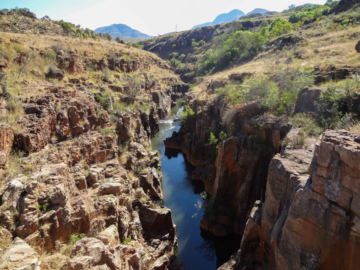 Life4Fun_Jen's tweet image. De reden dat voornemens stranden: diepe #groeven - #patronen. Ik nodig je uit voor een gratis ontdekkingssessie en ik laat je zien hoe je #moeiteloos voornemens kunt omzetten in nieuwe patronen #groei #lente #kansen