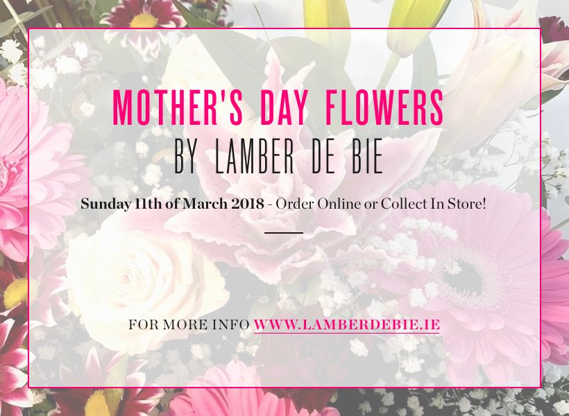 Lamber_de_Bie's tweet photo. #Mothersday is this #Sunday11March
We are the local #Florist in #Waterford & #Kilkenny
goto: https://t.co/2VyAifPvDA https://t.co/OKGJcJi9wq