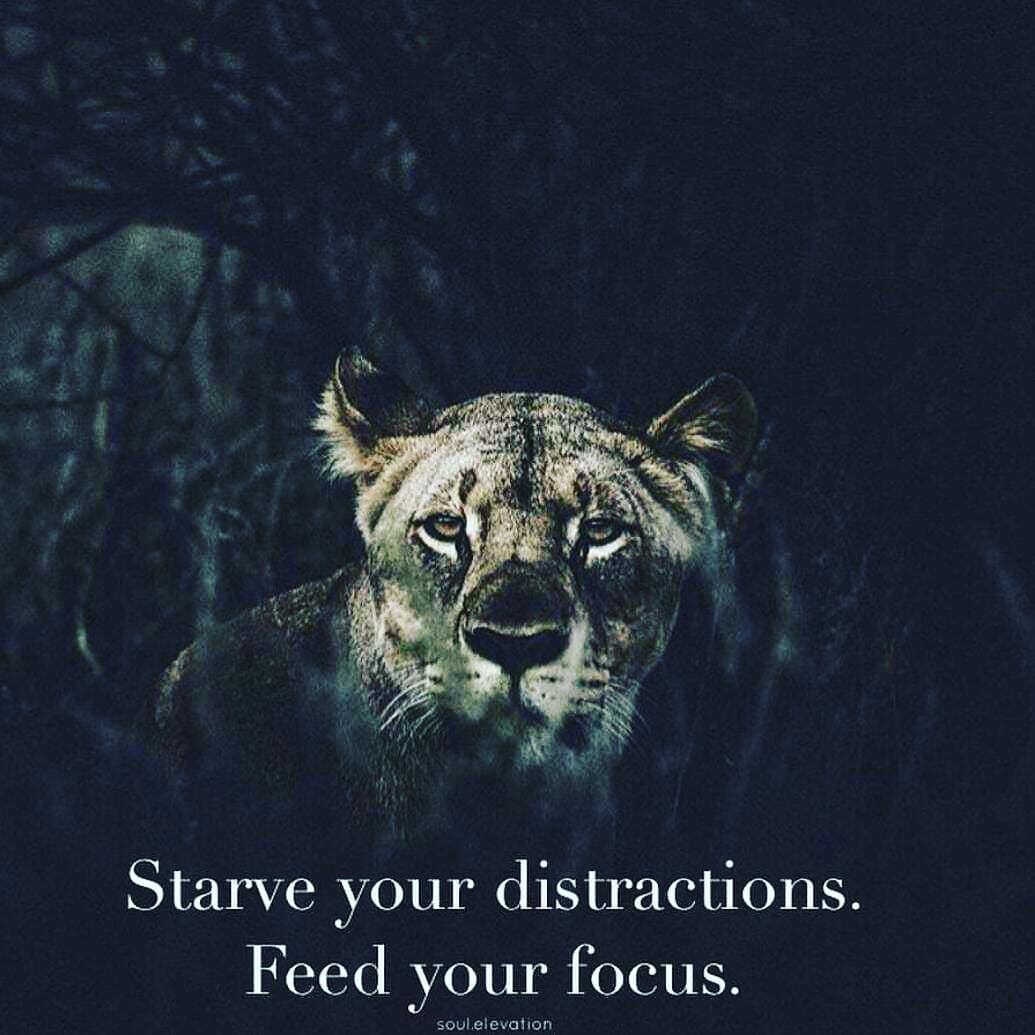 Praiseworthyon's tweet photo. Keep your #thoughts &amp; #actions fixed on your #goals &amp; #dreams even when it seems #IMPOSSIBLE
#focus #lawofattraction #success #Praiseworthy https://t.co/wk5Lz3cbYi