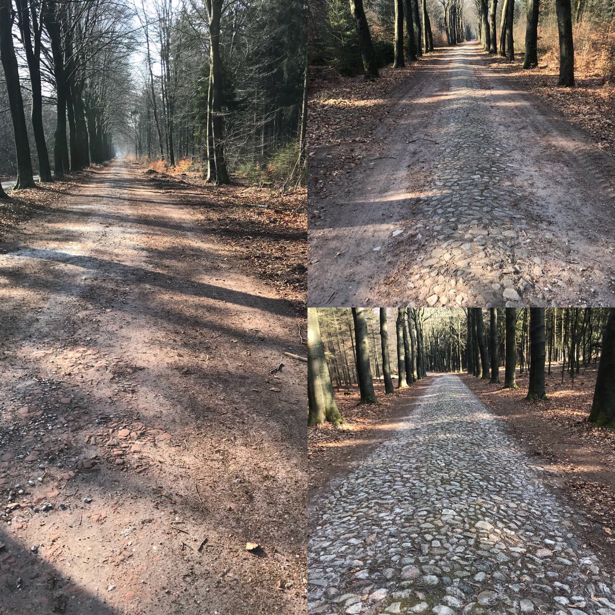 De finale stroken liggen er keurig bij
Echtensedijk - Bosweg