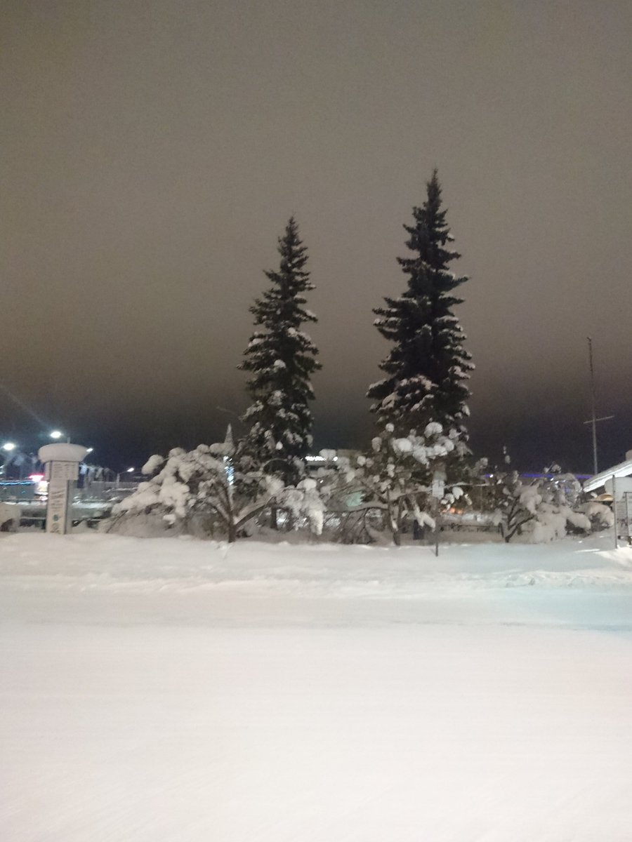 jimmcquaid's tweet photo. @Arctic_Office @faam146 @MetOffice_Sci @SEELeeds @UKinCanada @UKSINet @NERCscience Will do, will encourage use of #MACSSIMIZE it's pretty #arctic here tonight https://t.co/rK4cLZn832