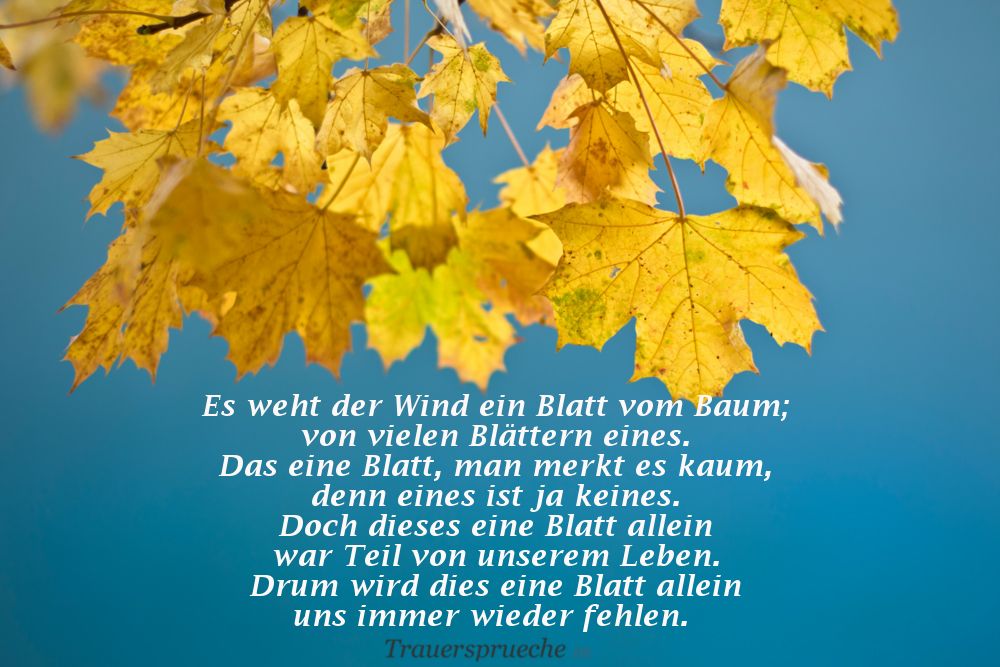 Download Gedanken zum thema baum HD Gedanken Zum Thema Baum