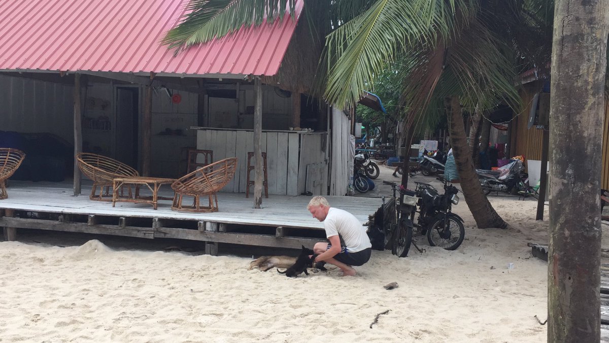 Dogs are not our whole life, but dogs make our lives whole 
@KohRongIsland <a href="/Cambodia/">Cambodia</a> 
Brought to you by Eurasie @EurasieTravel