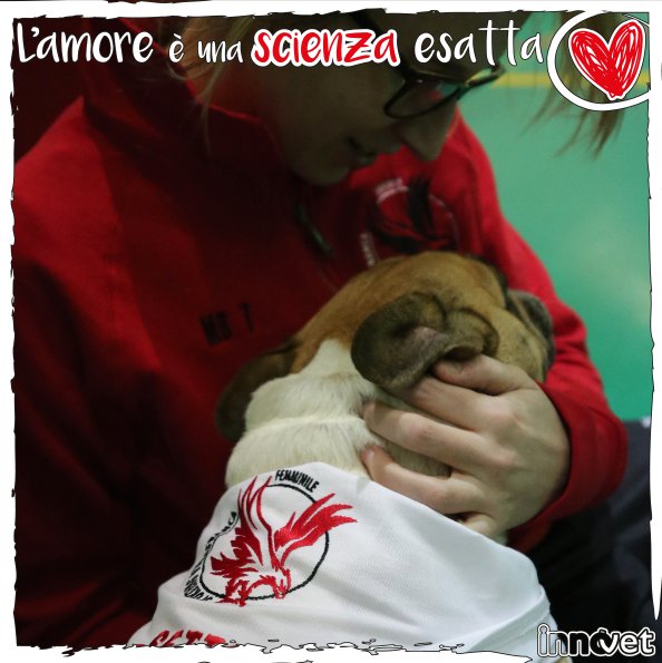 sporting_villa's tweet photo. L'amore ❤ è una scienza esatta!
Sporting Villafranca Femminile e Sette per @innovetit .
#SVFca5 #SFVlovers #SportingVillafranca 🦅⚽ #Calcioa5 #Futsal #FutsalFemminile #Innovet https://t.co/kbiRMnof5X
