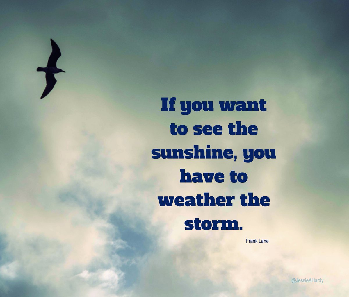 JessieAHardy's tweet photo. If you want to see the sunshine, you're going to have to weather the storm. A good message after a stormy night. #Bermuda #storm #birds #inspiration #quote #quotations #StormRiley #stormemma #stormemma2018 #nature #StormEmmaireland #weather #stormhour #photography #travel #foto https://t.co/uxVLFaeYdC