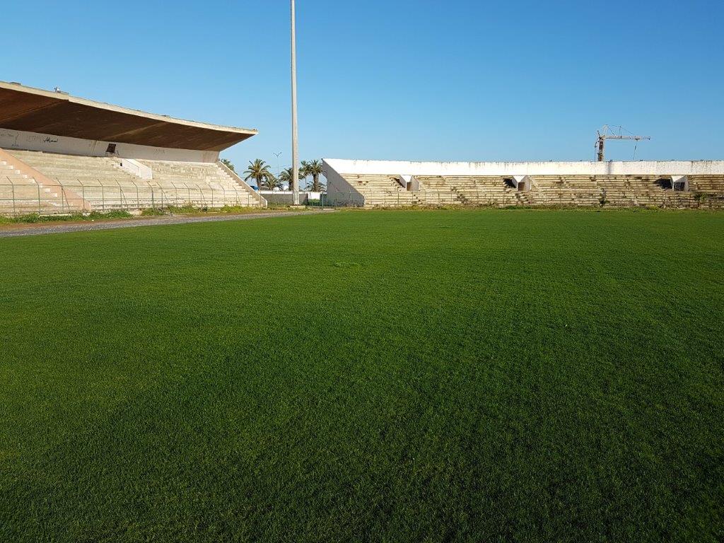 artdan_fr's tweet photo. Direction le stade de Mohammedia El Bachir au Maroc et son superbe gazon fibré signé @artdan_fr &amp; #COTERCONSTRUCTION https://t.co/tiMJ2Ap3KY