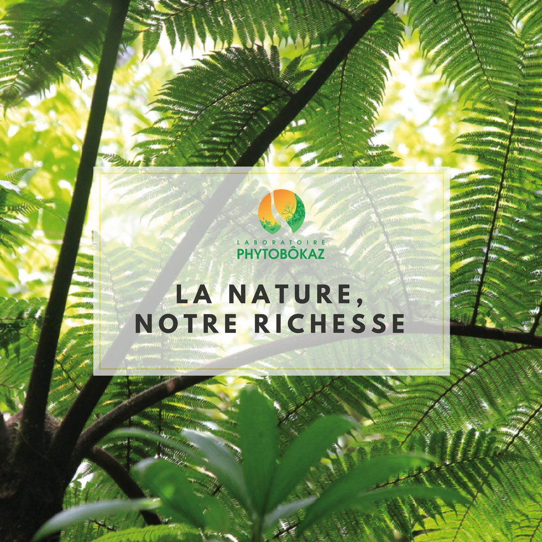La nature, notre richesse ! Préservons la ! #nature #richesse #biodiversite #faune #flore #antilles