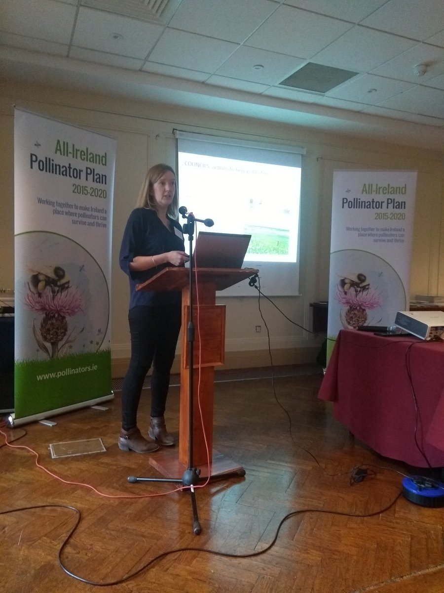 Biodiversity Ireland tweet media