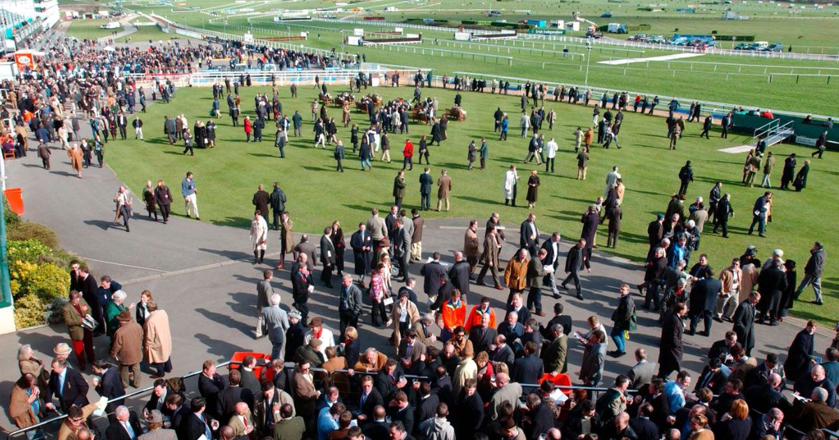 BetfairRacing tweet picture