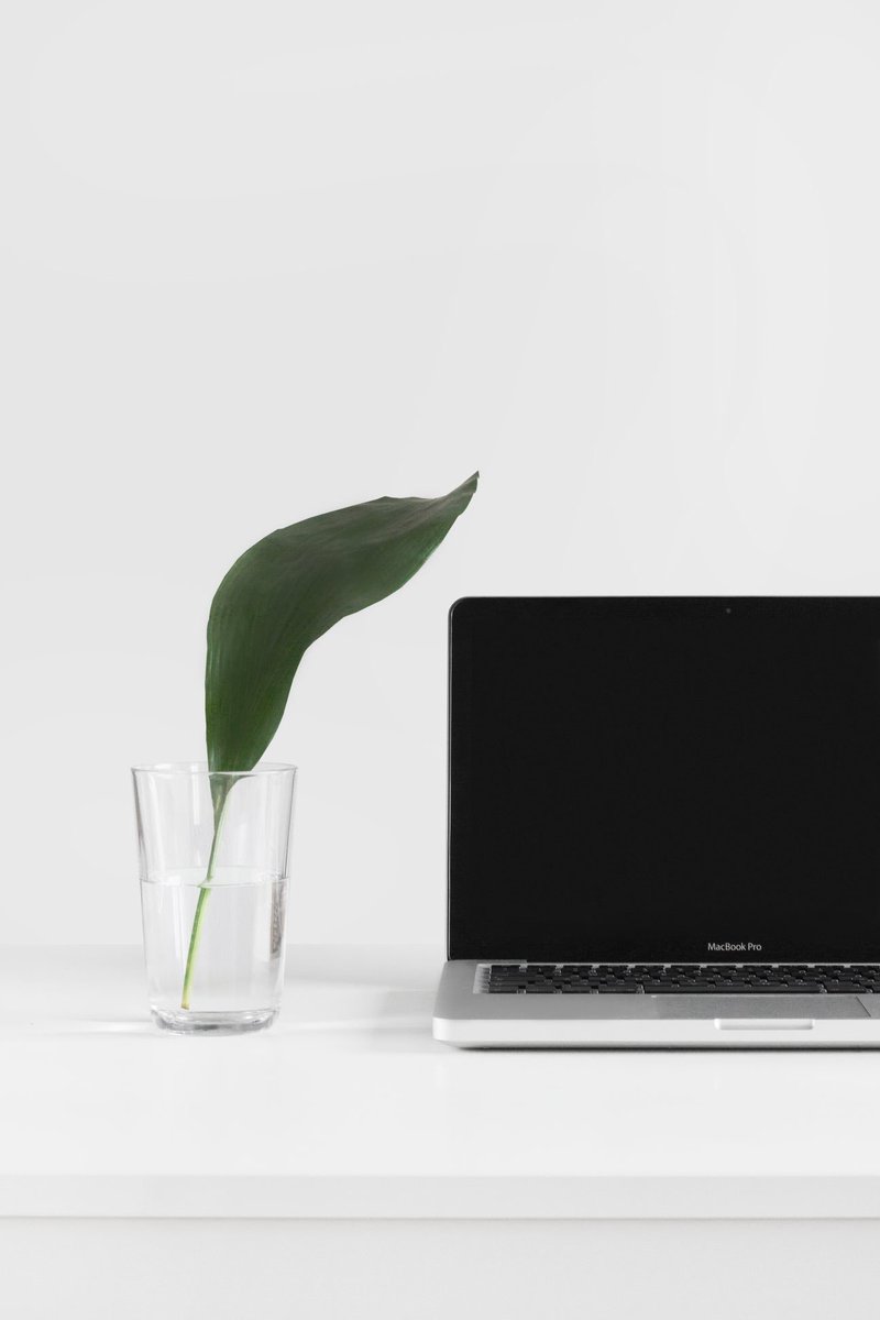 nelasblog's tweet photo. Home is where I work and I work everywhere!
.
#workfromhome #workforfreedom #decor #officedecor #macbookpro #inspirational #motivationalstart #socialmedia #socialmediamarketing #entrepreneurlife #logo #love #luxurylife #smallbiz #success #photooftheday
https://t.co/IFYgGbfShh https://t.co/8X1hY9nmDi