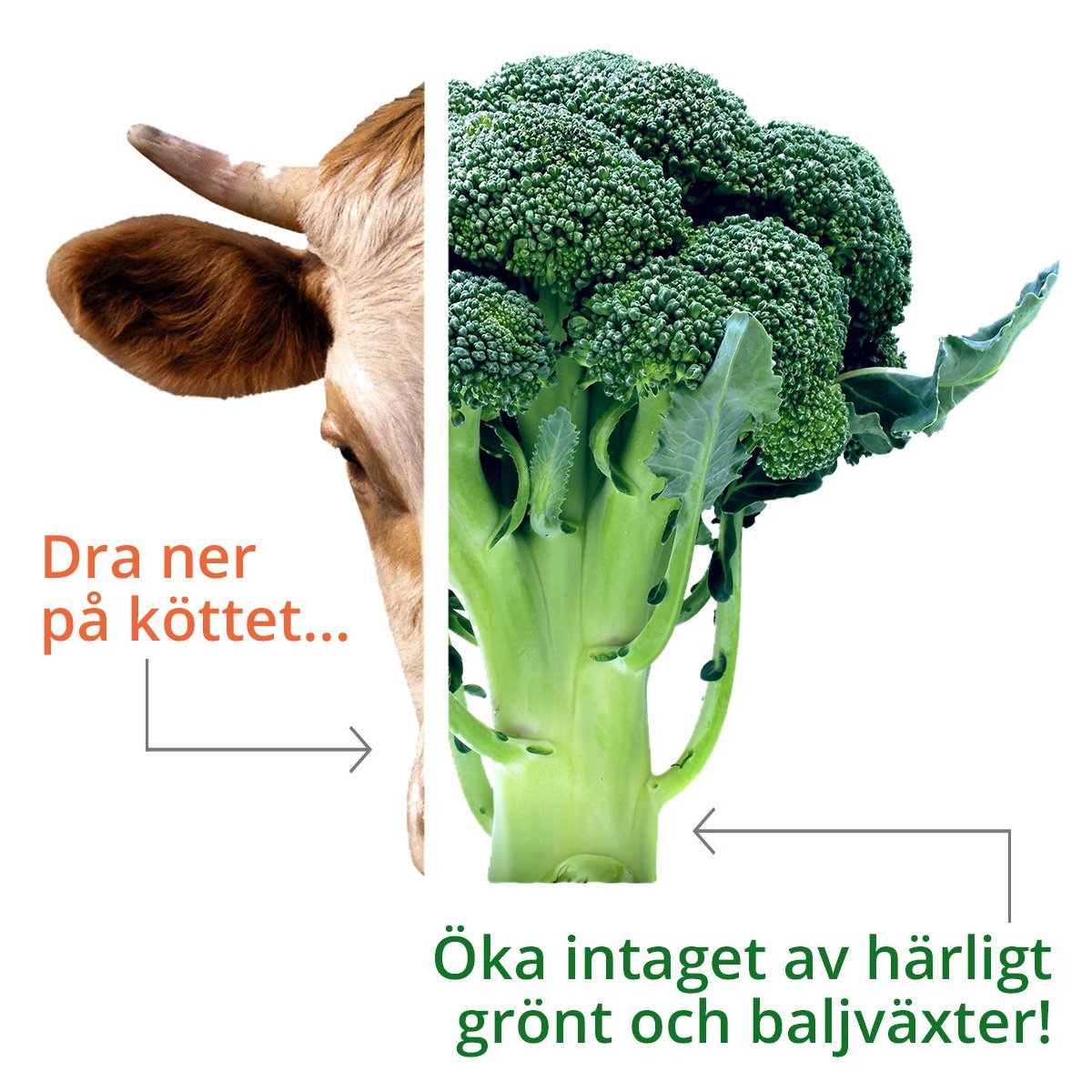 WWFSverige's tweet photo. HĂ€r kommer 4 enkla tips pĂ„ hur du kan Ă€ta mer planetvĂ€nligt inför #EarthHour!đ
1. ĂKA â Ă€t mer frĂ„n vĂ€xtriket! đ„
2. MINSKA â Ă€t mindre men bĂ€ttre kött. đ
3. VĂLJ â svenskt, certifierat eller miljömĂ€rkt. đžđȘ
4. SLUTA â slĂ€ng ingen Ă€tbar mat. â
Har du fler tips? https://t.co/zA7pnlldGV