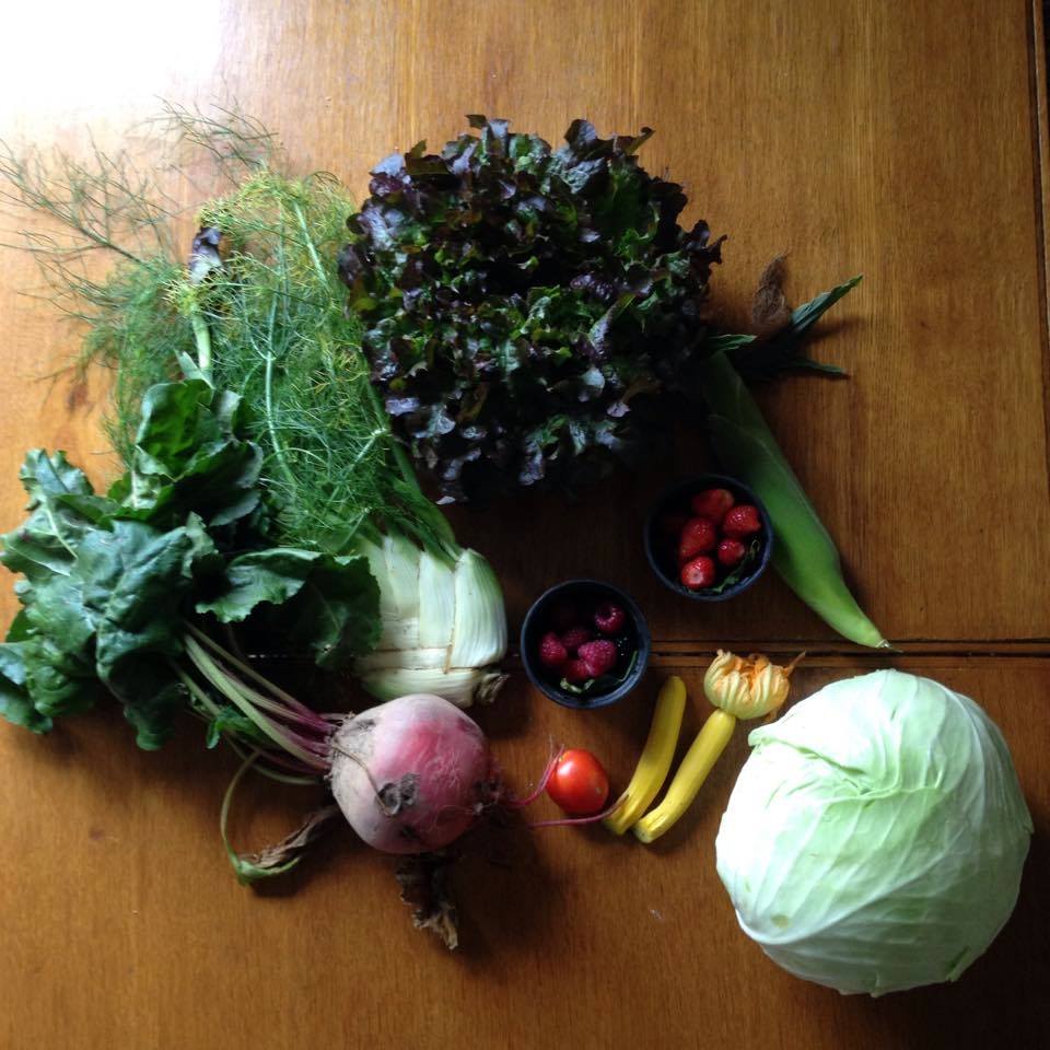Proef Deventer in maart bij: De Weesjes Kantine! Iedere donderdag worden de lekkerste biologische hapjes voor een fijn prijsje geserveerd in het Burgerweeshuiscafé. ow.ly/zvJ430iGE9m