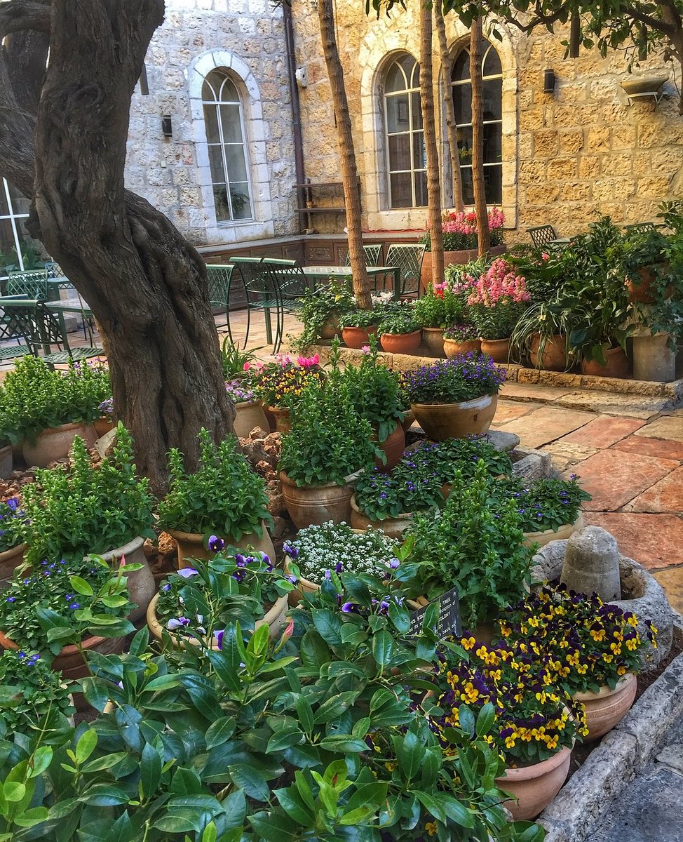 كل شيء في #القدس يروي جمالا ~ ❤