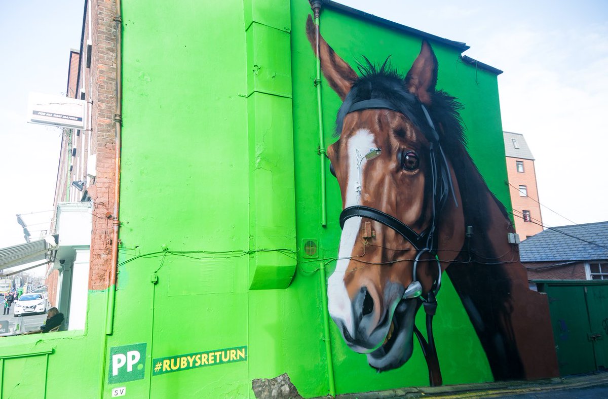 paddypower's tweet photo. What about Faugheen though 😍😍😍 #RubysReturn
Full details on how to win a trip to Cheltenham Gold Cup day: https://t.co/JaFPu8zPiE https://t.co/8afgIhktXG