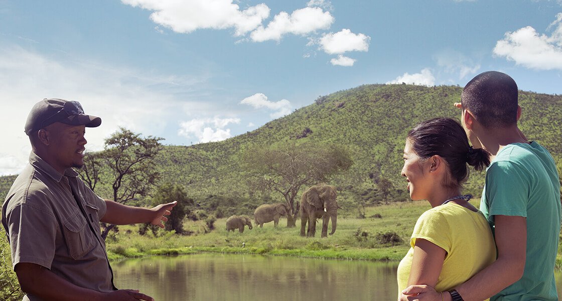 WelcomeSA Initiative tweet media