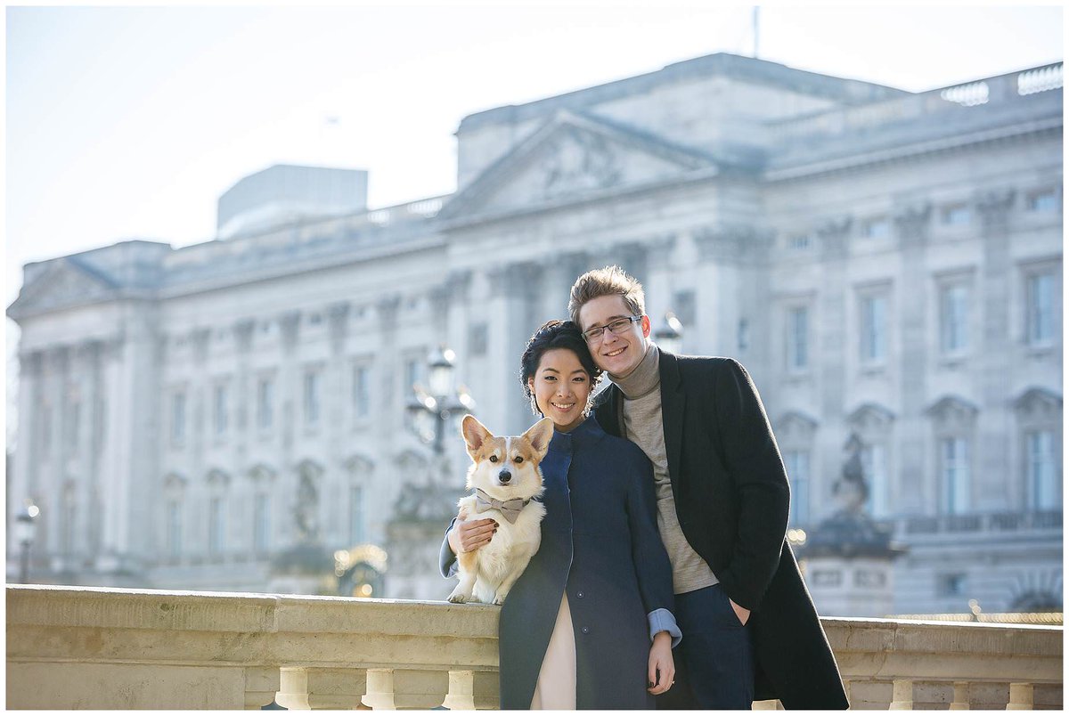 ImagesbyKerry's tweet photo. What happens if you hire a celebrity corgi for your engagement shoot!?CUTENESS OVERLOAD. https://t.co/Stn59dZqA8 @winnythecorgi @HuffPostUK #dogsoftwitter #london #buckinghampalace #engaged #secretlondon https://t.co/pp23lA8u0t