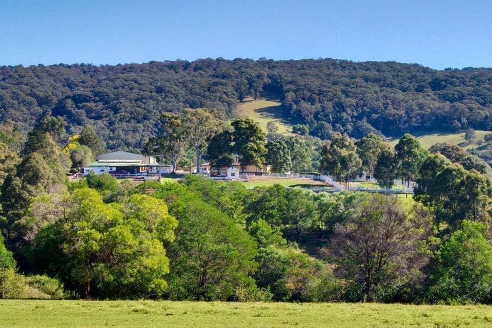 EquineElite1's tweet photo. NEW! Darlington Stud in NSW, Australia has a vacancy for a Head Groom! Full details and to apply here - https://t.co/Mm2WFIm3MD https://t.co/eCLQuMBa8F