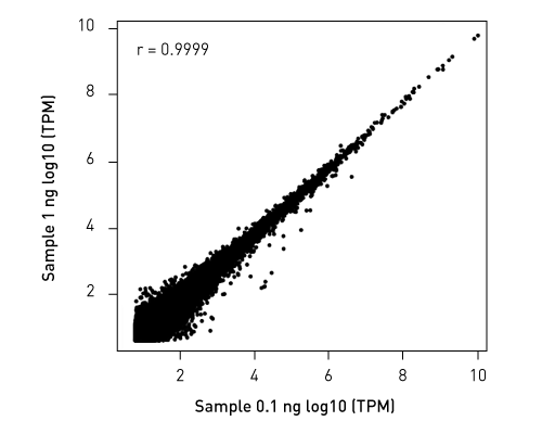 Diagenode's tweet photo. Try our complete solutions for CATS mRNA-seq! #RNAseq

☛ Only 30 minutes hands-on time
☛ Stress-free: complete solution with indexes and polyA selection module
☛ Better data: ligation free technology = no primer dimers
☛ Ultra-low inputs

https://t.co/j9BYxu8dCp https://t.co/4nXtsuwJHQ