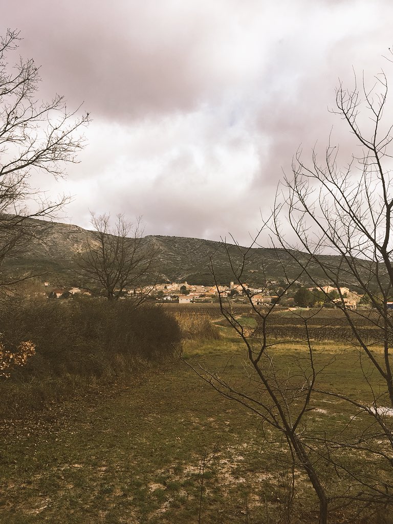 macigale's tweet photo. Découverte marche nordique dans les vignes de #SaintVictoire avec aixprovenceoutdoor #puyloubier  @SiteSteVictoire @Secretsdici https://t.co/kiaxuXfK0h