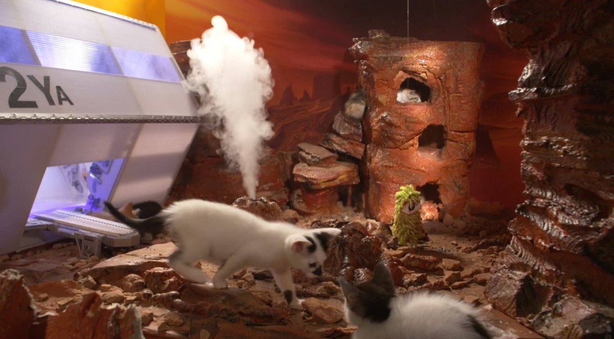 綾杉ゴリザエモン 以前ツイートで見かけたamazonプライムにある 宇宙の子猫たち めたくそニヤニヤする 壮大な音楽で宇宙 船から子猫が未知の惑星に上陸したような設定でただ猫がウロウロするだけw たまに出てくる宇宙人のパペットに全く興味示さないぶりが