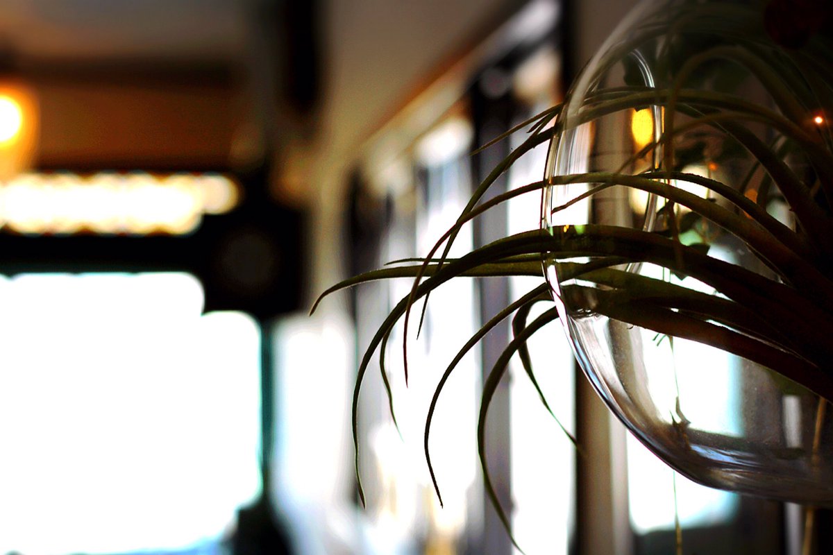 asunaro_yuuki's tweet photo. 今日はパワーをもらうために
みね社長に会いに
河内花園の『kitchen SAWASAWA』に
お邪魔してきました〜👍👍
ご飯死ぬほど美味しかったし
やっぱりみねはすげぇ奴でした。
お店の宣材写真も撮らせて
もらって最高でした!
#kitchenSAWASAWA #河内花園 #ゆきお https://t.co/8ujltfA8Lv